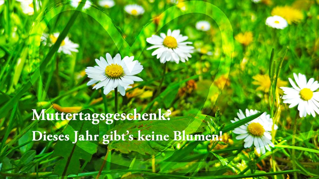 Bild mit Gänseblümchen und Herz. Darauf der Text: Muttertagsgeschenk? Dieses Jahr gibt’s keine Blumen!